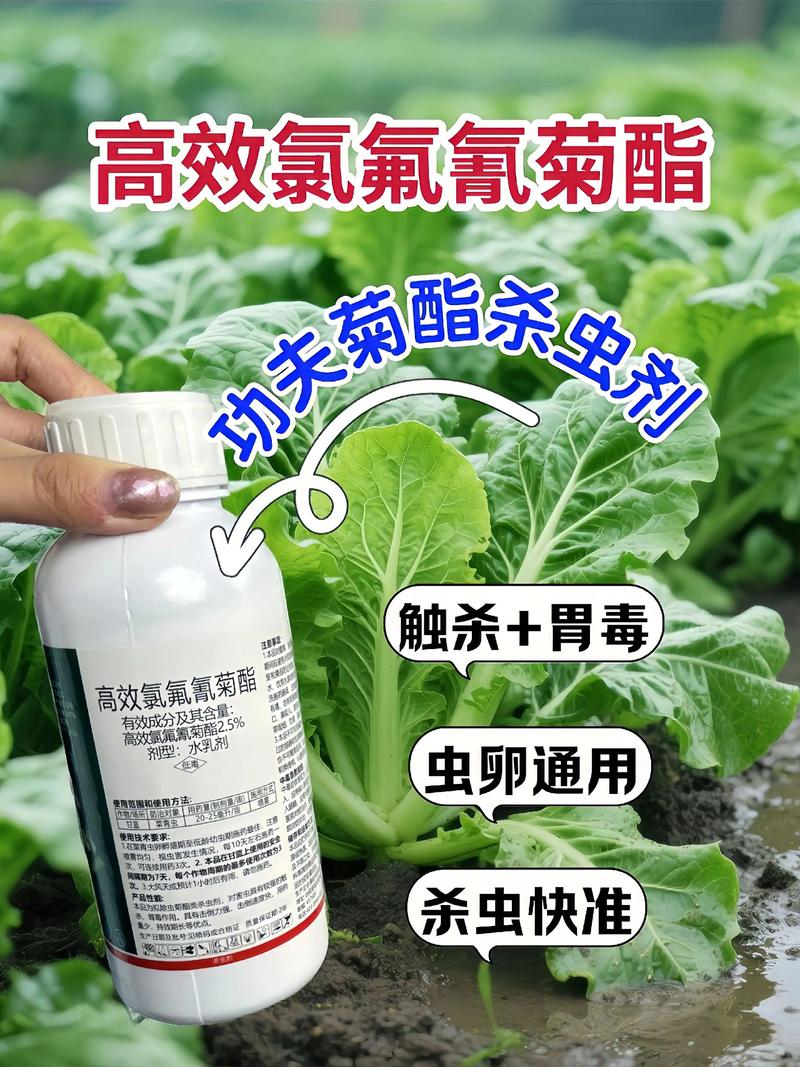 黑龙江代生中心:农药对供卵代生妈妈的危害